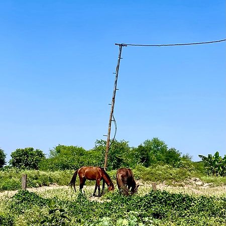 Tekri Farms And Retreat Hotel Ujjain Exterior foto