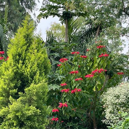 Tekri Farms And Retreat Hotel Ujjain Exterior foto