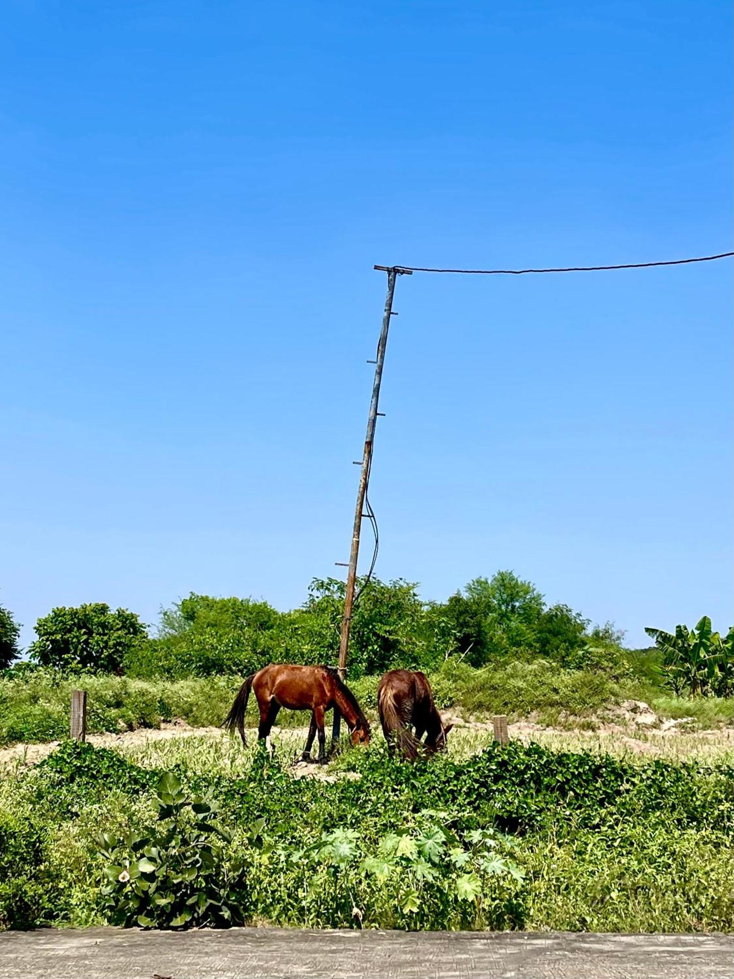 Tekri Farms And Retreat Hotel Ujjain Exterior foto