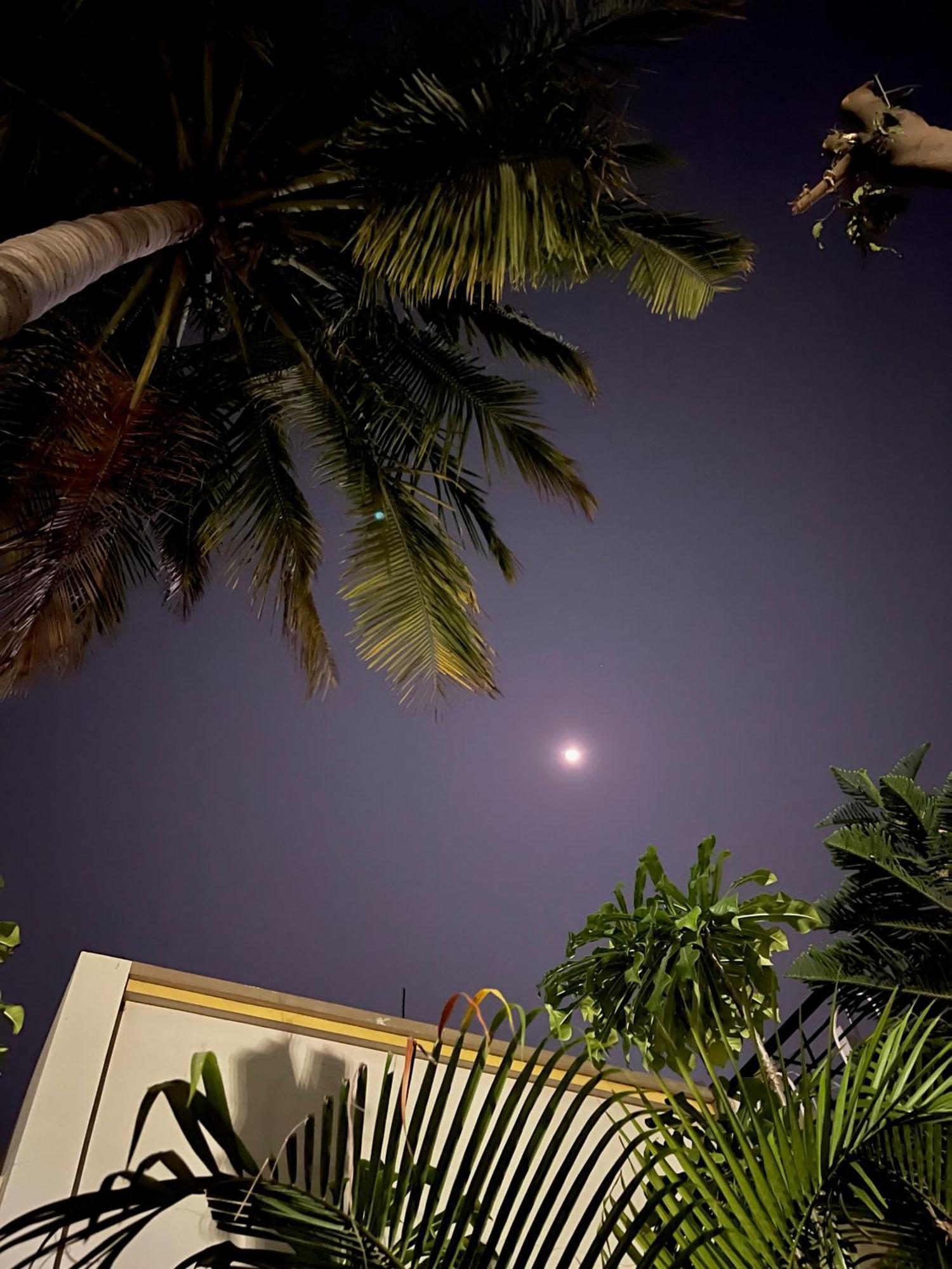 Tekri Farms And Retreat Hotel Ujjain Exterior foto